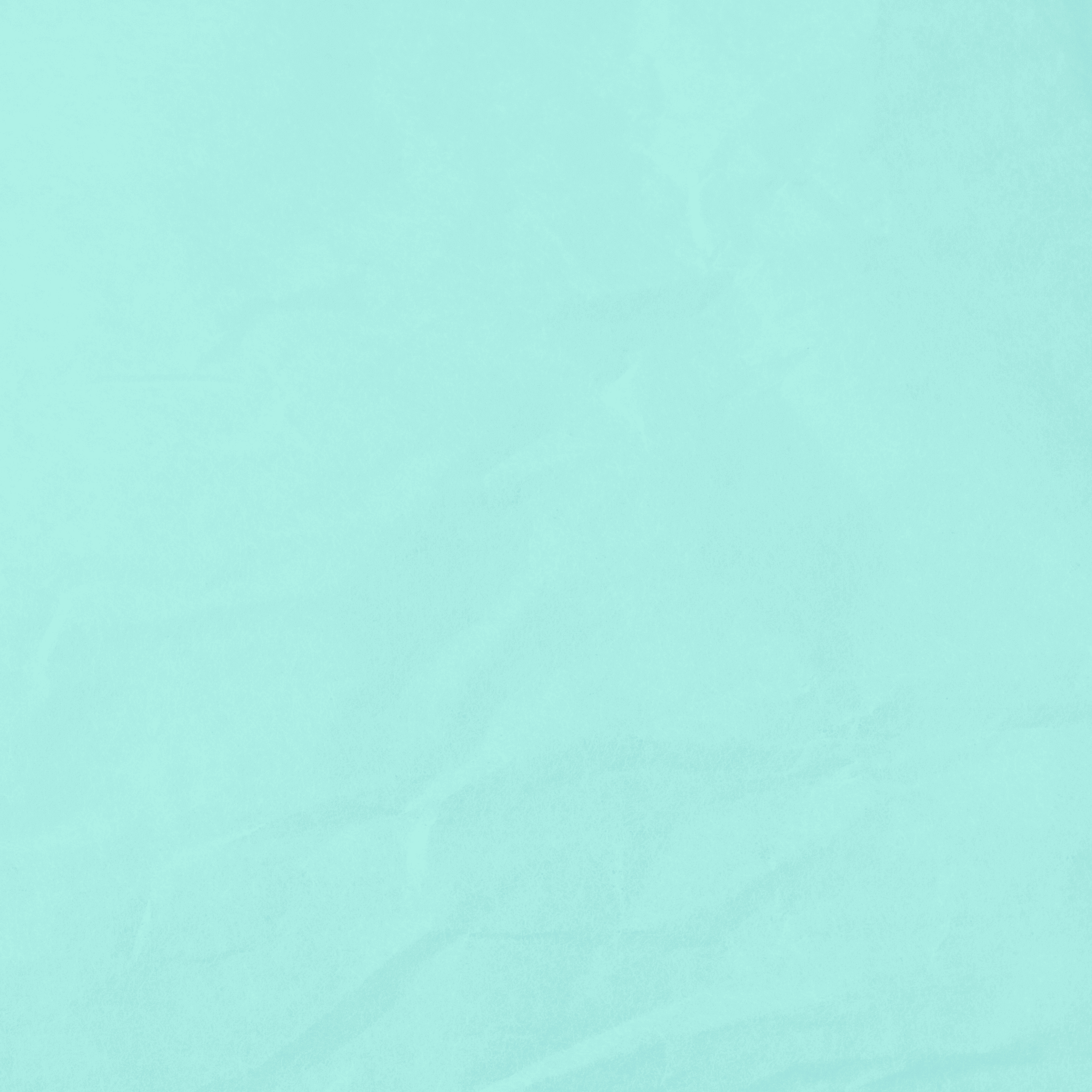 Mint Green Images  Free Photos, PNG Stickers, Wallpapers