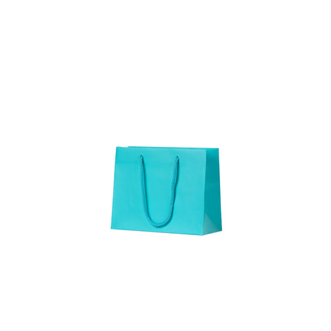 Aqua Matte Carry Bags - Petite